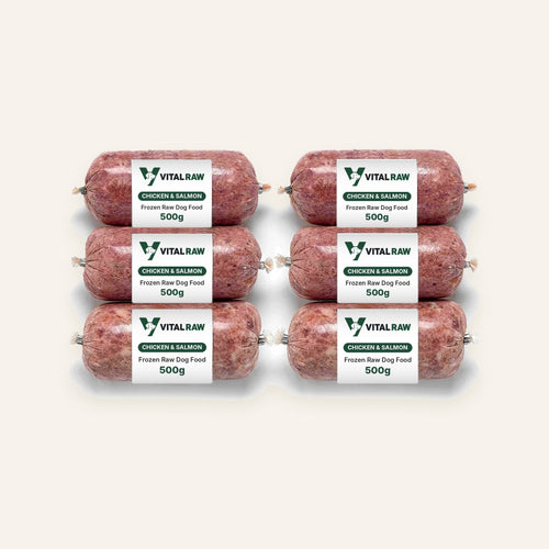 Vital Raw chicken and salmon raw dog food box