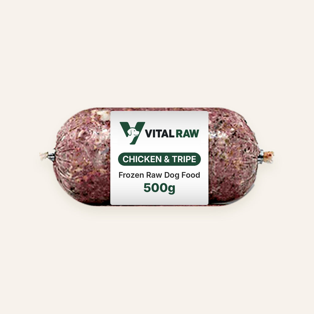 Vital Raw green tripe and chicken mince for dogs