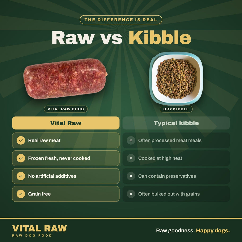 Vital Raw frozen raw dog food UK