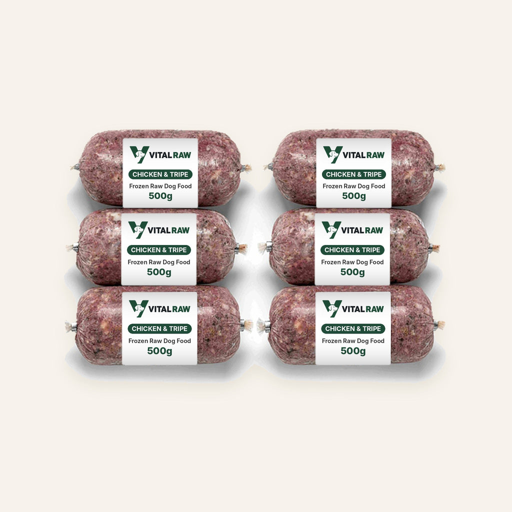 Vital Raw green tripe and chicken raw dog food