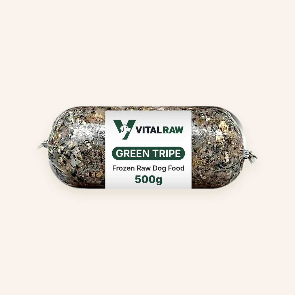 Vital Raw minced green tripe for dogs