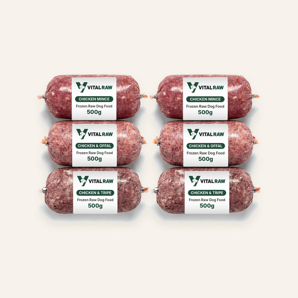 Vital Raw 21kg frozen raw dog food mix box