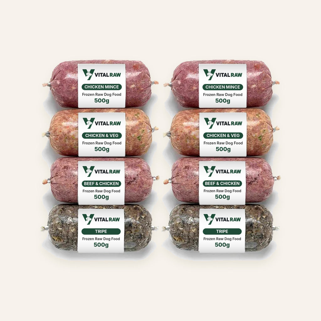 Vital Raw 12kg raw dog food variety box